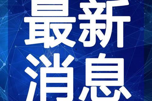 廊坊男孩爆料事件视频最新,真相背后引发社会关注