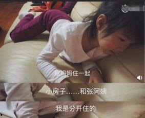 郑恺被妈妈爆料了吗视频,揭秘明星家庭温馨瞬间  第1张