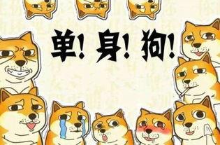 隐形式单身娱乐吃瓜酱,揭秘吃瓜酱背后的单身生活趣味 第2张 隐形式单身娱乐吃瓜酱,揭秘吃瓜酱背后的单身生活趣味 第2张