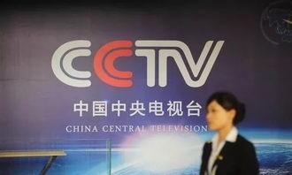 中央卫视在线直播观看,精彩瞬间回顾  第2张